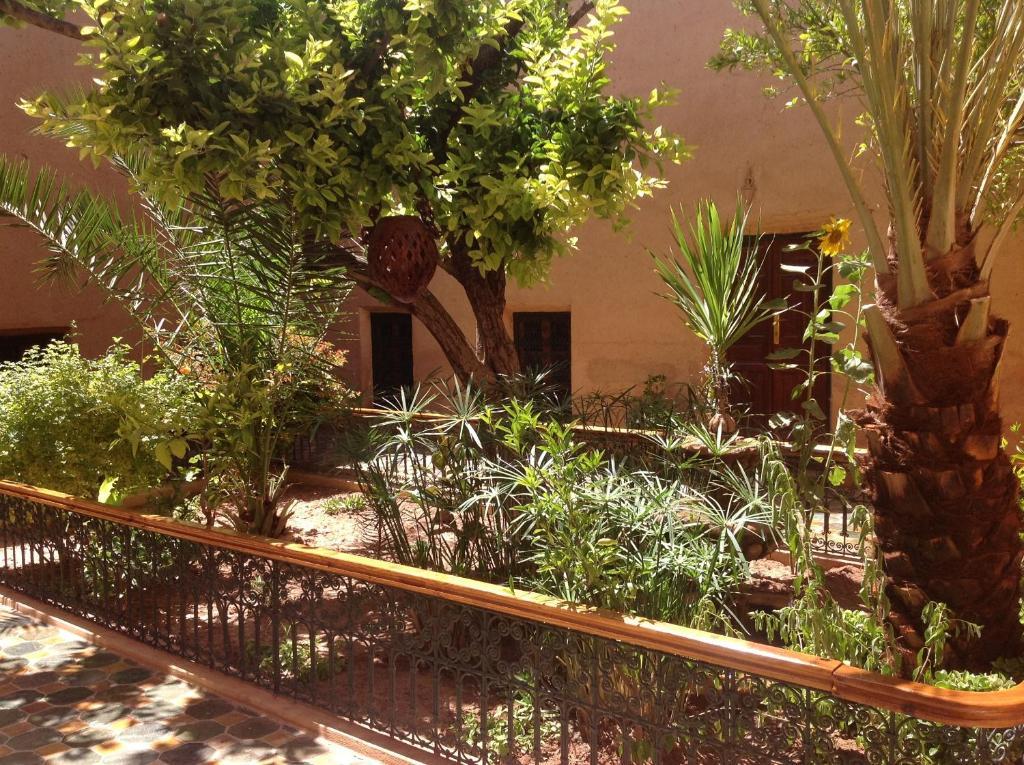 Riad Timadrouine Timatraouine
